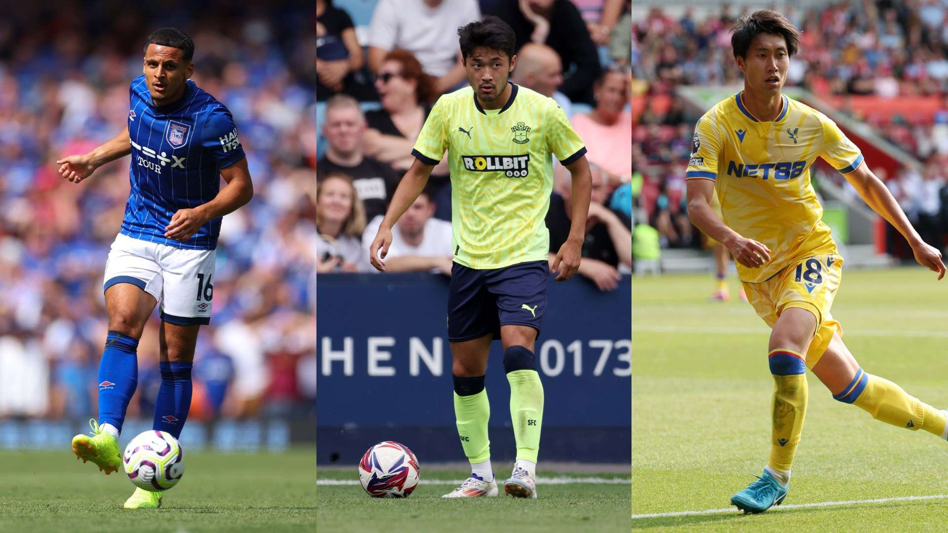 包括球迷体 包括球迷体